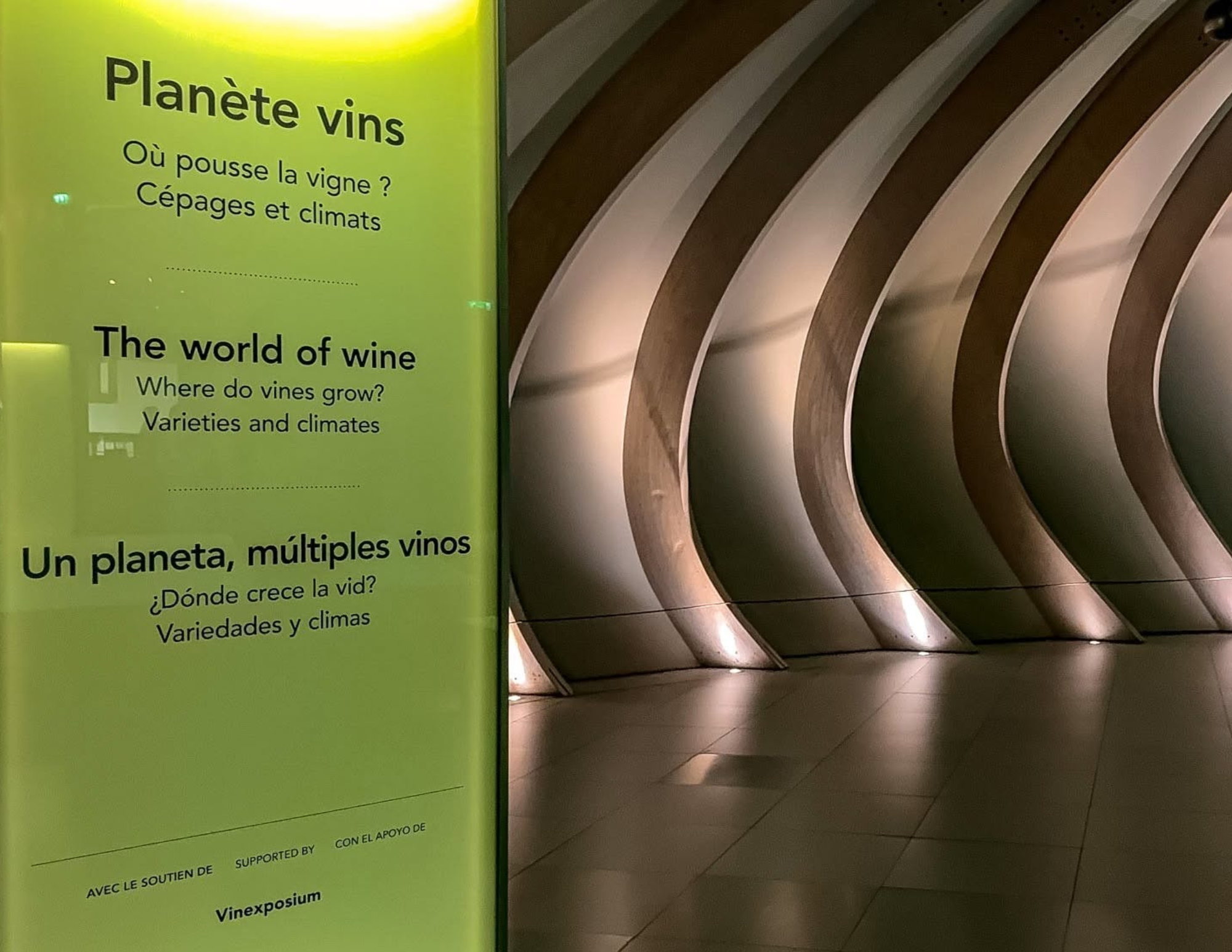 Best Things to Do in Bordeaux France (3).png